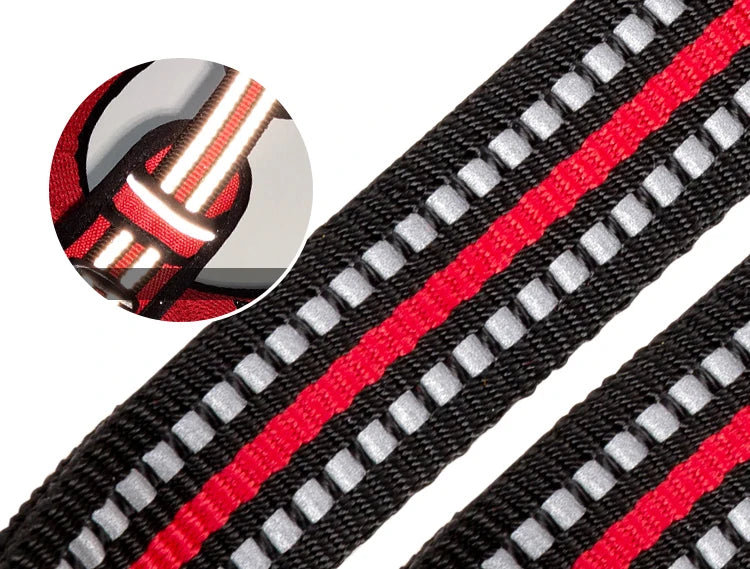 Truelove Pet Reflective Nylon Collar & Leash: High-Visibility, Durable Gear for Dogs