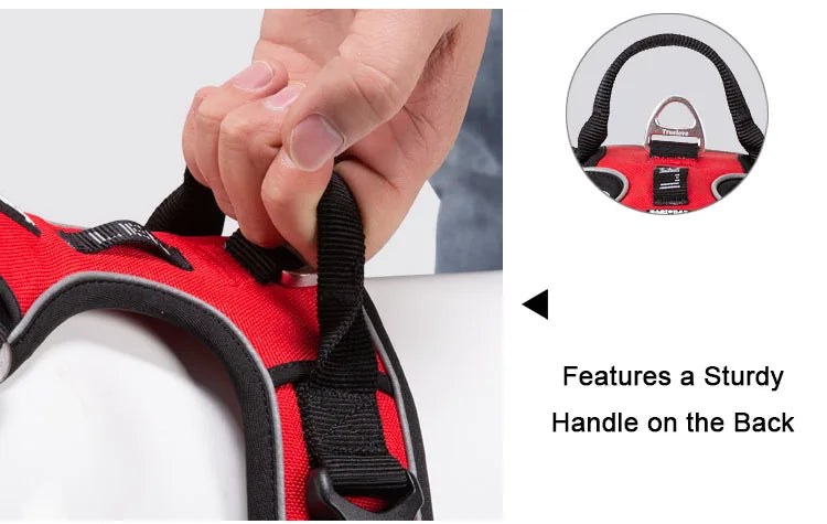 Truelove Pet Reflective Nylon Collar & Leash: High-Visibility, Durable Gear for Dogs