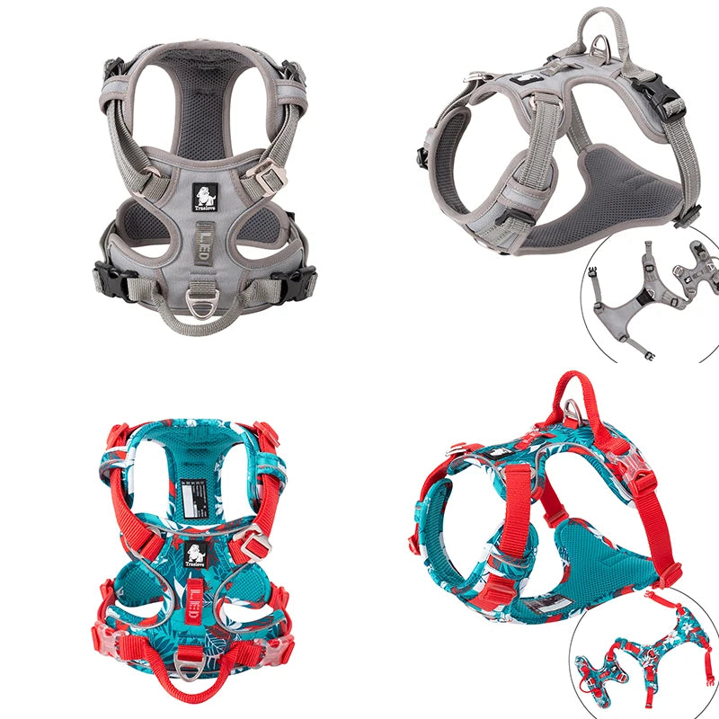 Truelove Pet Reflective Nylon Collar & Leash: High-Visibility, Durable Gear for Dogs