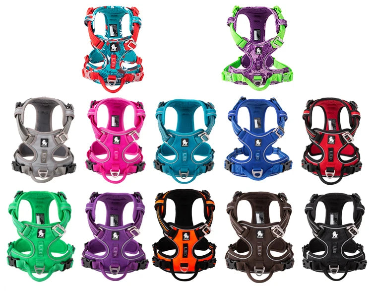 Truelove Pet Reflective Nylon Collar & Leash: High-Visibility, Durable Gear for Dogs
