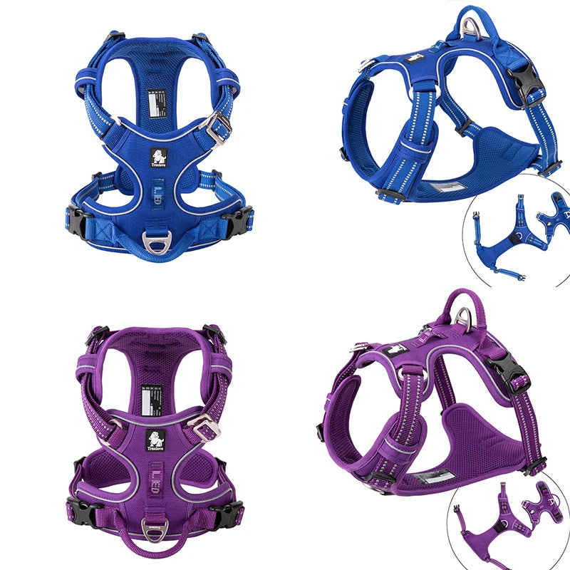 Truelove Pet Reflective Nylon Collar & Leash: High-Visibility, Durable Gear for Dogs