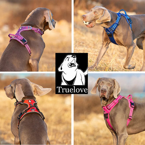 Truelove Pet Reflective Nylon Collar & Leash: High-Visibility, Durable Gear for Dogs