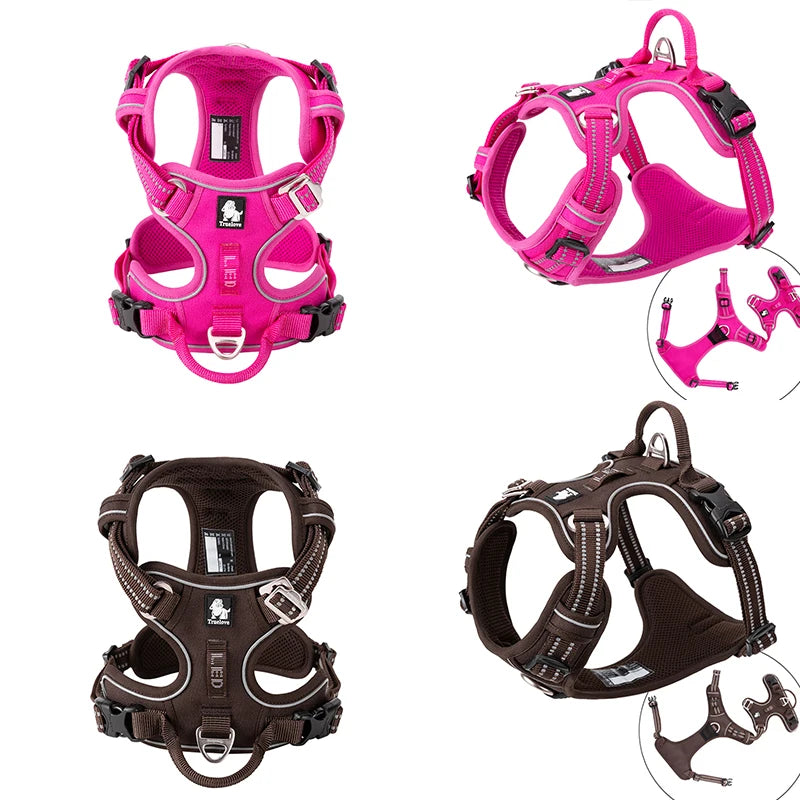 Truelove Pet Reflective Nylon Collar & Leash: High-Visibility, Durable Gear for Dogs
