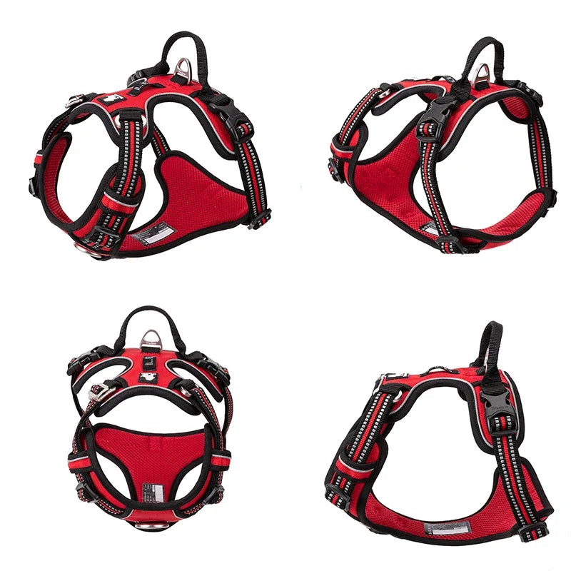 Truelove Pet Reflective Nylon Collar & Leash: High-Visibility, Durable Gear for Dogs