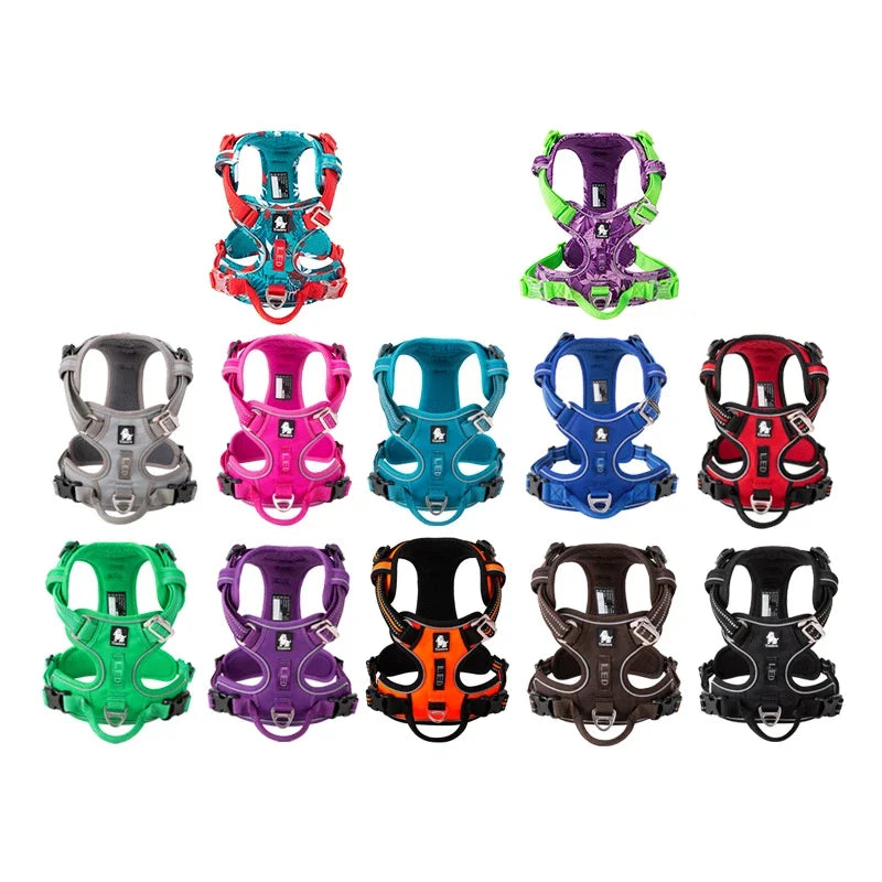 Truelove Pet Reflective Nylon Collar & Leash: High-Visibility, Durable Gear for Dogs