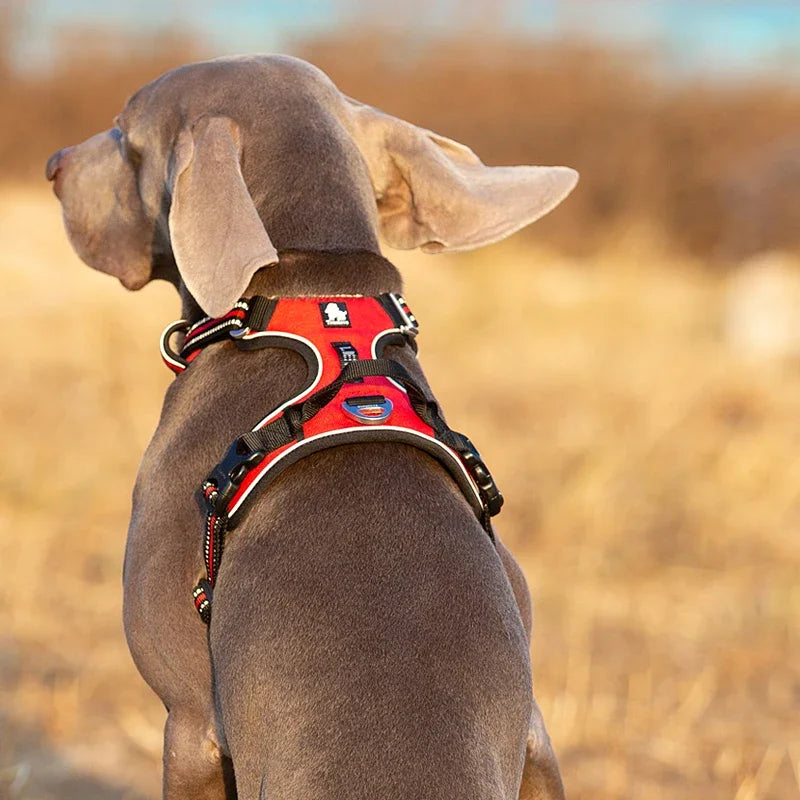 Truelove Pet Reflective Nylon Collar & Leash: High-Visibility, Durable Gear for Dogs