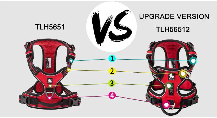 Truelove Pet Reflective Nylon Collar & Leash: High-Visibility, Durable Gear for Dogs