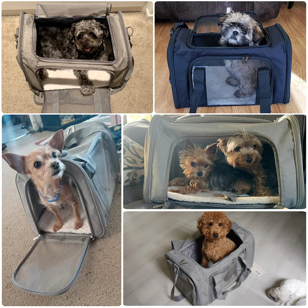 Soft Dog & Cat Travel Carrier Backpack: Comfortable and Secure Pet Backpack for Travel