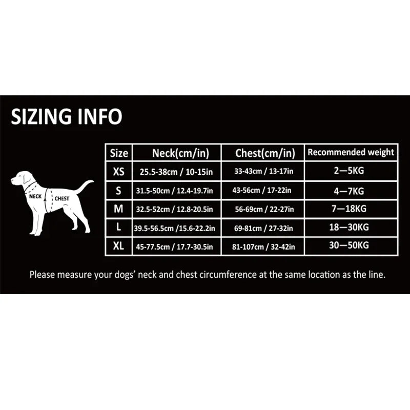 Truelove Pet Reflective Nylon Collar & Leash: High-Visibility, Durable Gear for Dogs